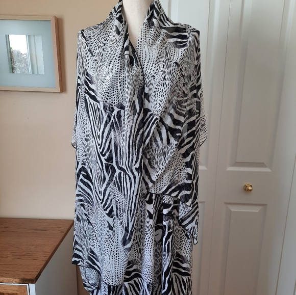 Adorable zebra print dress and scarf - Picture 6 of 8